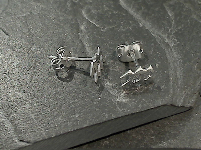 Sterling Silver Aquarius Zodiac Stud Earrings