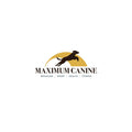 Supersoft Leather Collar 2"--Maximum K9 Services-Maximum K9 Services
