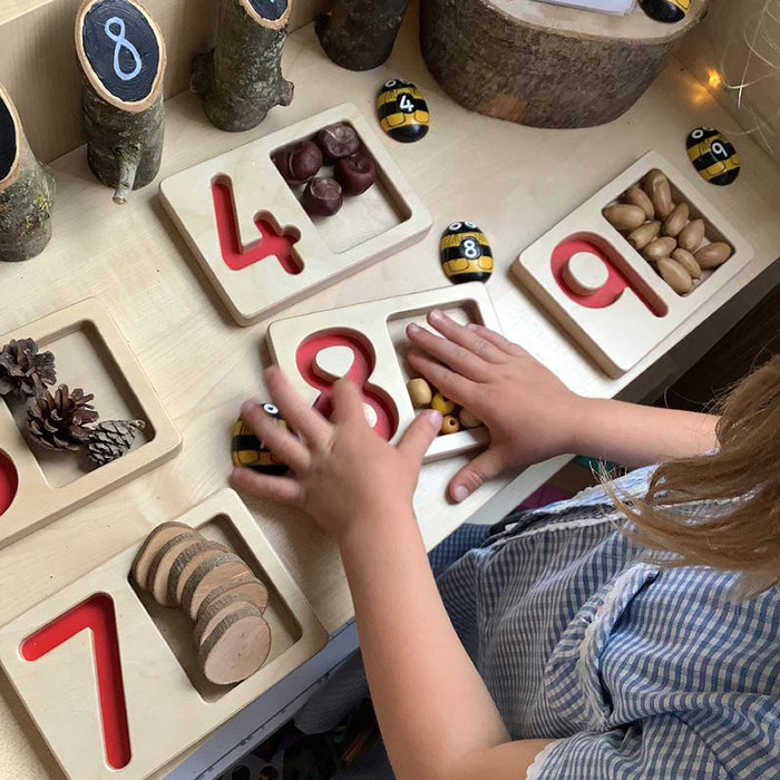 Kid Using Various Number Trays to Count