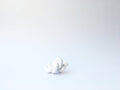 White Twisted C