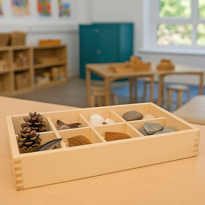 Wooden box with natural objects on a table in a classroom setting