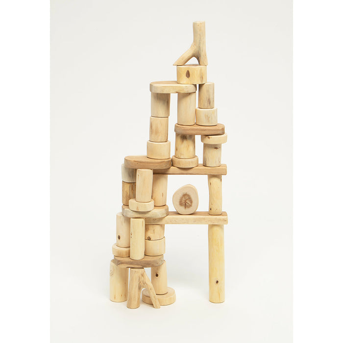 Wooden Tree Blocks | 36-Piece Set | Eco-Friendly Building Blocks