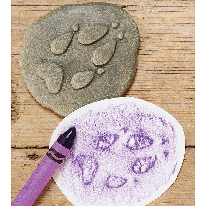 Animal Footprint Crayon Rubbing