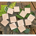 Sensory Exploration with Leaf Tiles