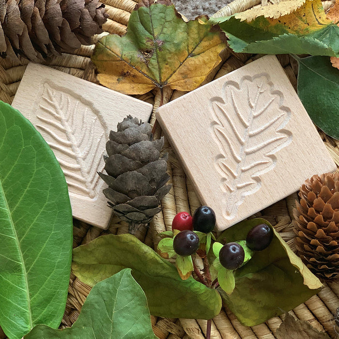 Tactile Nature Leaves